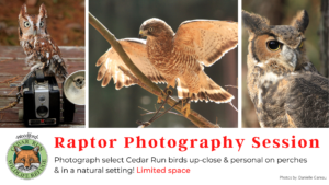 Raptor Photography Session @ Cedar Run Wildlife Refuge | Medford | New Jersey | United States