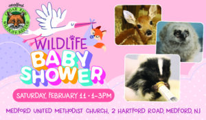 Wildlife Baby Shower @ Medford United Methodist Church | Medford | New Jersey | United States