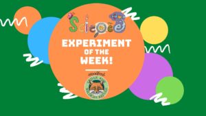 Science Experiment of the Week