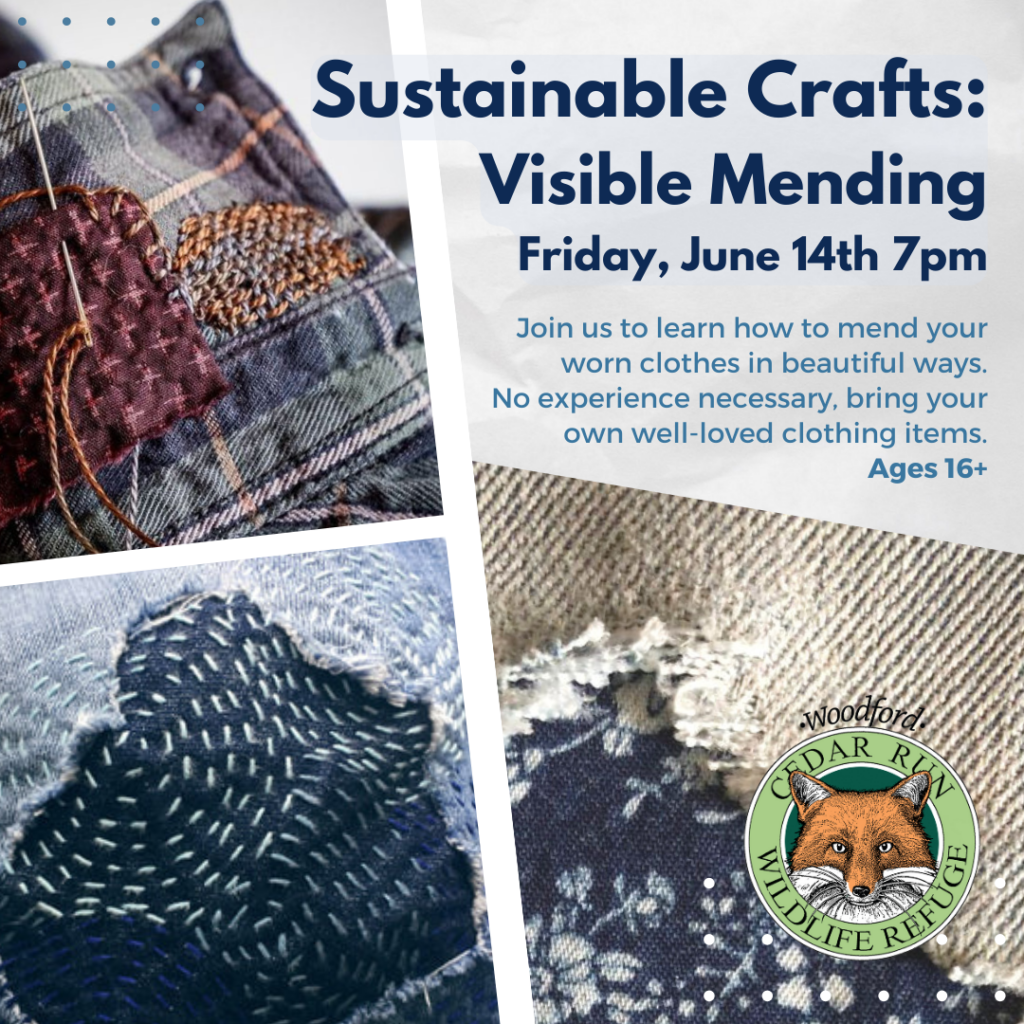 Sustainable Crafts: Visible Mending