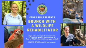 Brunch with a Wildlife Rehabilitation & Wildlife Hospital Tour