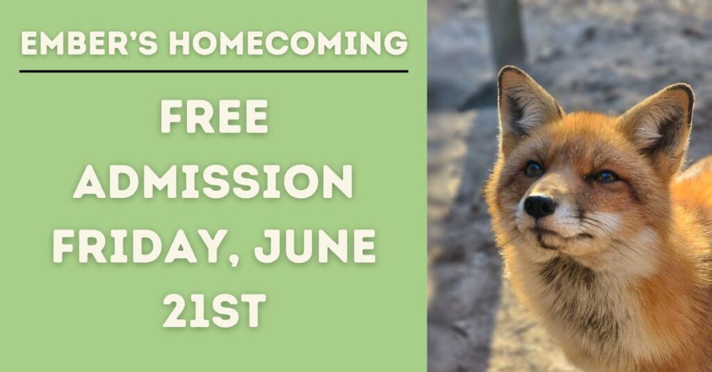 Ember's Homecoming- FREE Admission